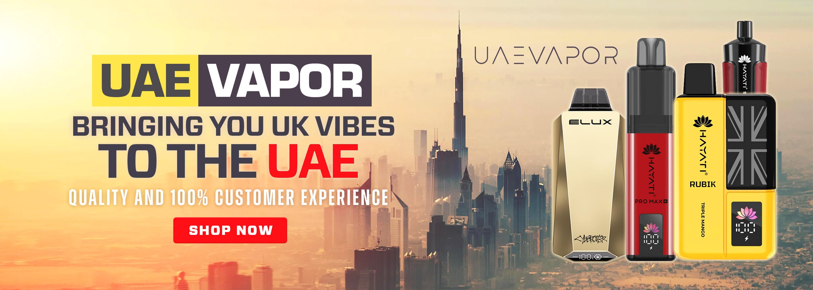 UAE Vapor - Disposable Vapes in Dubai and Abu Dhabi